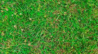 What happens when kids spend their summer outdoors dreaming, creating, and filming their own stories?

Pure joy.

This is summer learning at its best — playful, imaginative, and full of heart.

Come see what we’re all about at wedgwooddrama.com

#SeattleKids #SeattleFamilies #SeattleSummer #SummerCampMagic #CreativeKids #YoungStorytellers #LearningThroughPlay #KidMadeMovies #OutdoorLearning #TheaterCamp #LetThemBeLittle #ChildhoodUnplugged #RaisingCreativeKids #ThisIsChildhood #WedgwoodDramaStudio